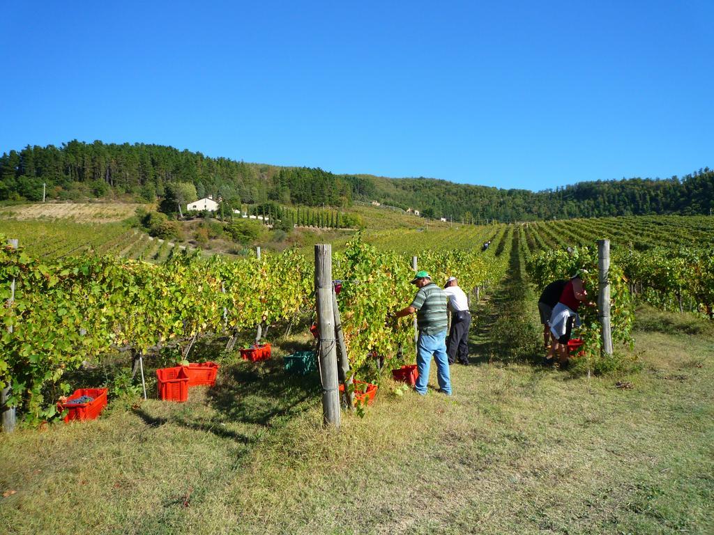 Fattoria Il Lago Dicomano Exterior foto